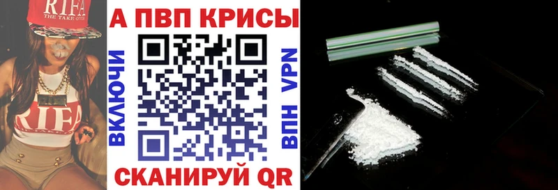 Купить закладки  Пудож  Alpha PVP VHQ 