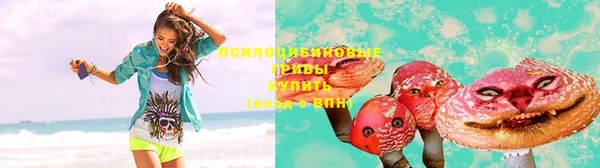 не бодяженный Богородицк