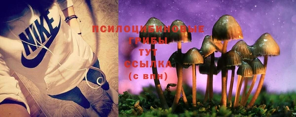 MDMA Богданович