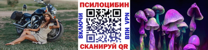 Псилоцибиновые грибы GOLDEN TEACHER  Купить  Пудож 